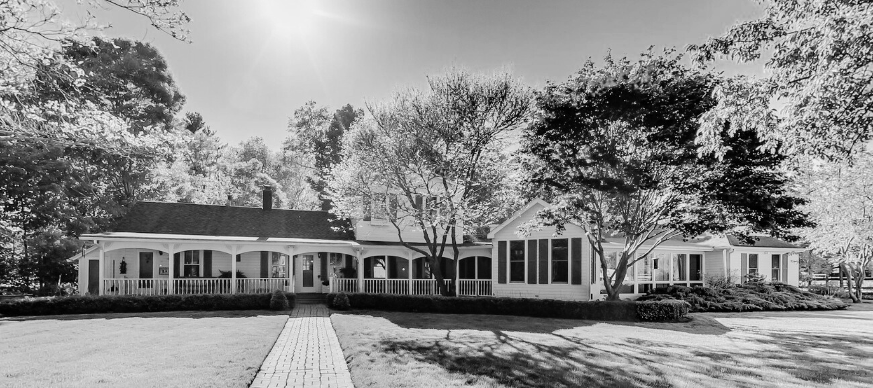 Hero banner image adoute